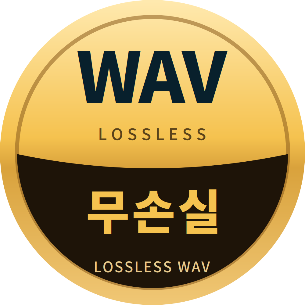 무손실 WAV 마크